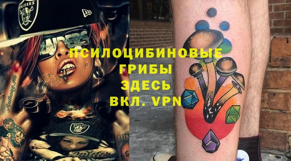 альфа пвп Няндома