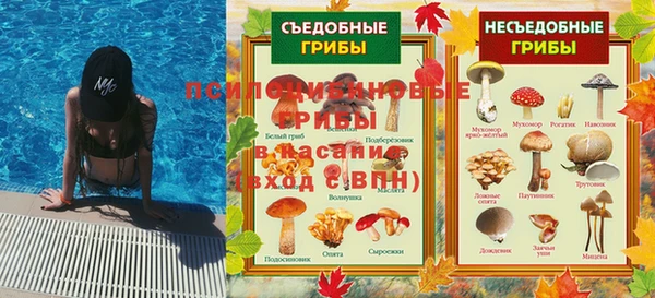 a pvp Кулебаки