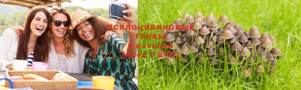 бошки Кукмор