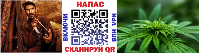 мориарти наркотические препараты Чаплыгин Марихуана семена